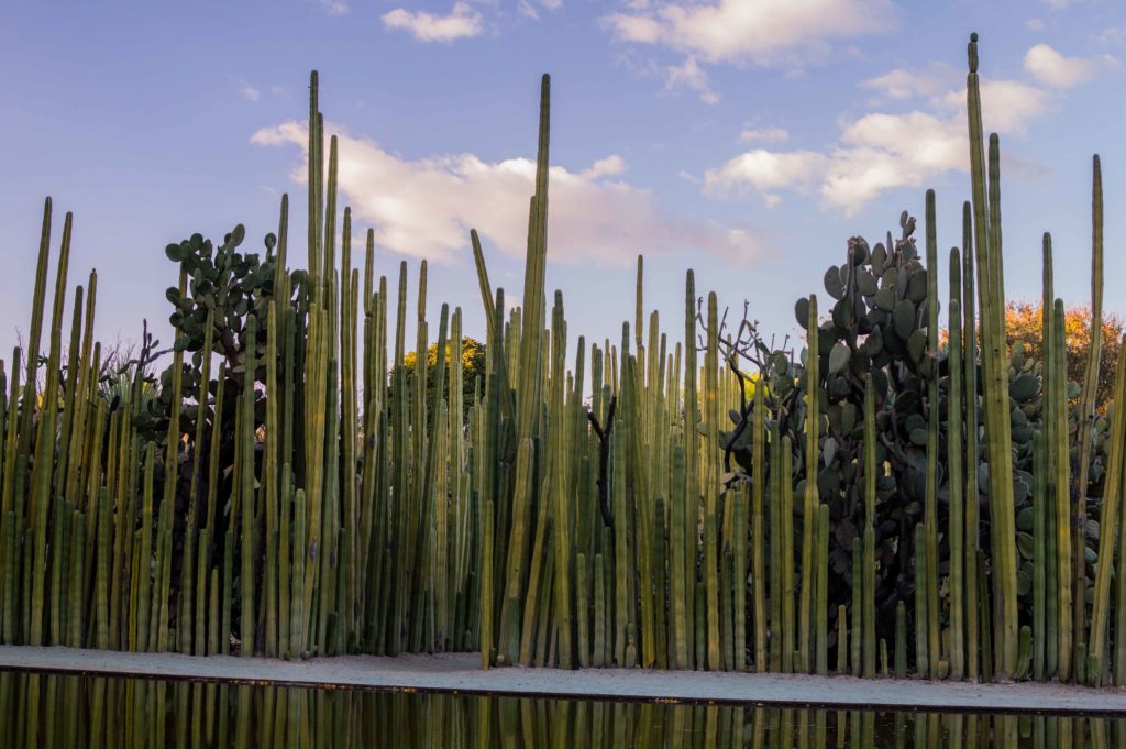 Jardin Etnobotanico - Deseo de Sendero